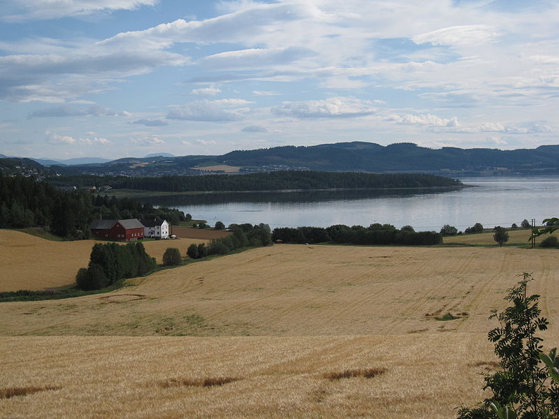 Beitstadfjorden delvis islagt