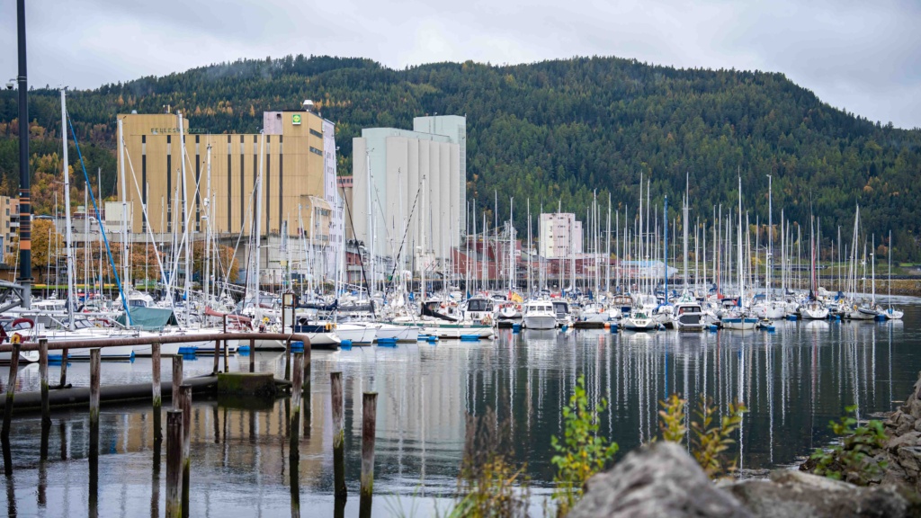 Gjestehavn med småbåter